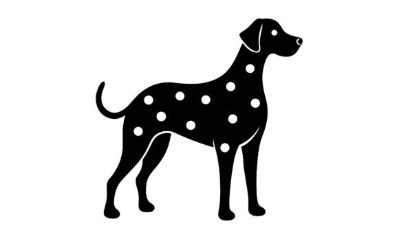 Black and White Dalmatian Dog