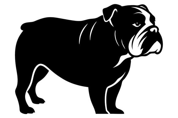Black and White Vector Illustration SVG Review